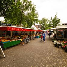  Wochenmarkt in der Grelckstraße