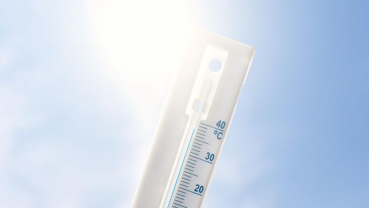  Das Thermometer zeigt 38° C.