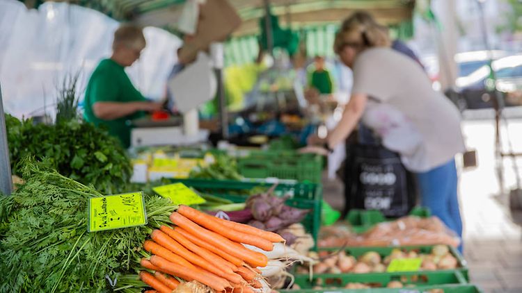  Marktstand mit Karotten, Pilzen und weiterem Gemüse im Vordergrund. Im Hintergrund sieht man in der Unschärfe eine Verkäuferin mit zwei Kundinnen im Gespräch.