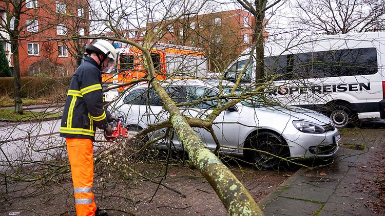  Ein Feuerwehrmann zersägt im Stadtteil Neuallermöhe einen Baum, der bei einem Sturm auf ein Auto gefallen ist.
