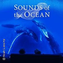  Sounds of the Ocean