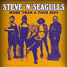  Steve 'n' Seagulls - More than a Tour 2024