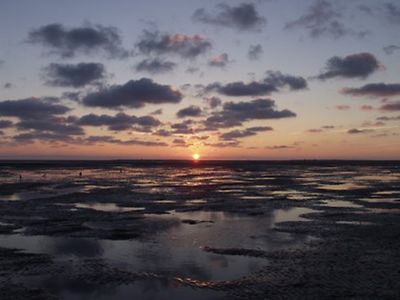  Sonnenuntergang über dem Wattenmeer