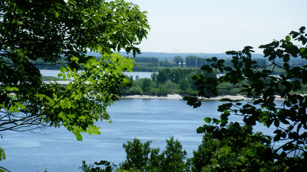  Aussicht auf die Elbe vom Falkensteiner Ufer