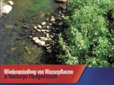  Flyer zur Wiederansiedlung von Wasserpflanzen in Hamburger Fließgewässern