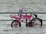  Ein rosa Fahrrad lehnt an einem Geländer. Fahrrad und Geländer sind zur Hälfte von der Elbe überspült, die über die Ufer getreten ist.