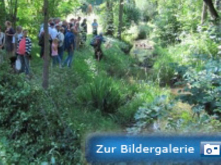  Gewässerführungen 2012: Engelbek (11.08.2012)