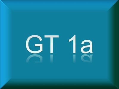  GT1a