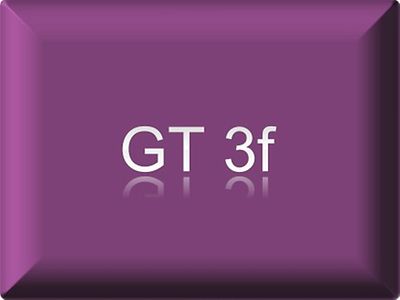  GT3f