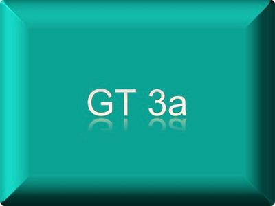  GT3a