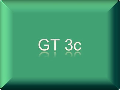  GT3c