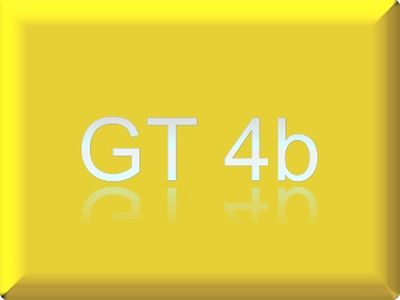  GT4b