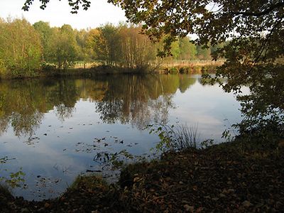  Volksdorfer Teichwiesen
