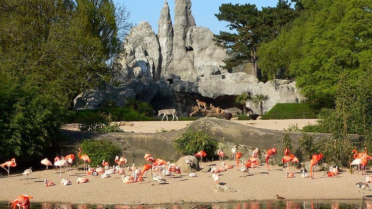 Familienurlaub in Hamburg: Hagenbecks Tierpark