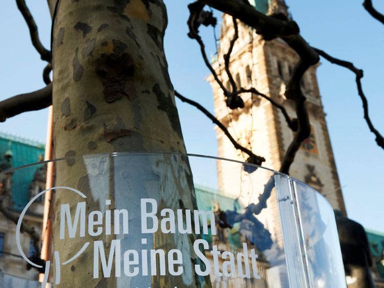  Spendentafel "Mein Baum - Meine Stadt"