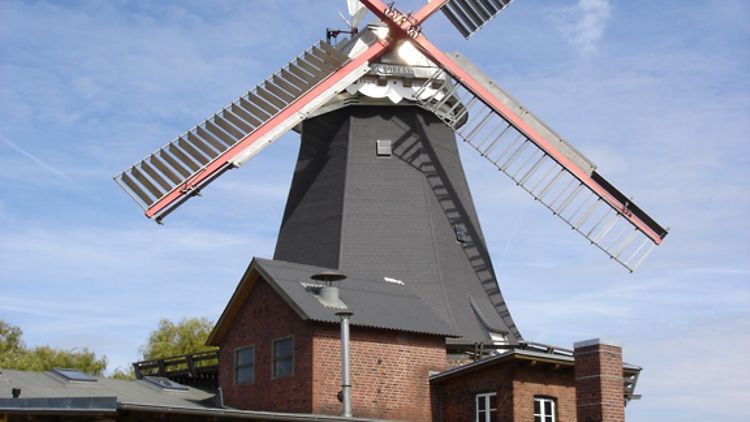 Die Riepenburger Mühle - eine historische Windmühle in den Vierlanden.