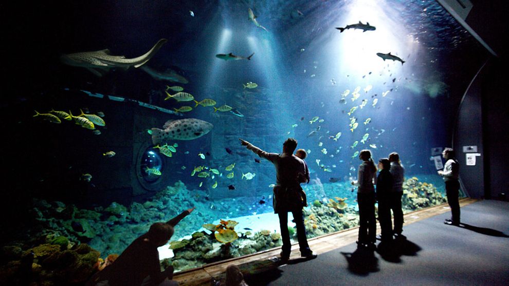  Tropen-Aquarium Hagenbeck