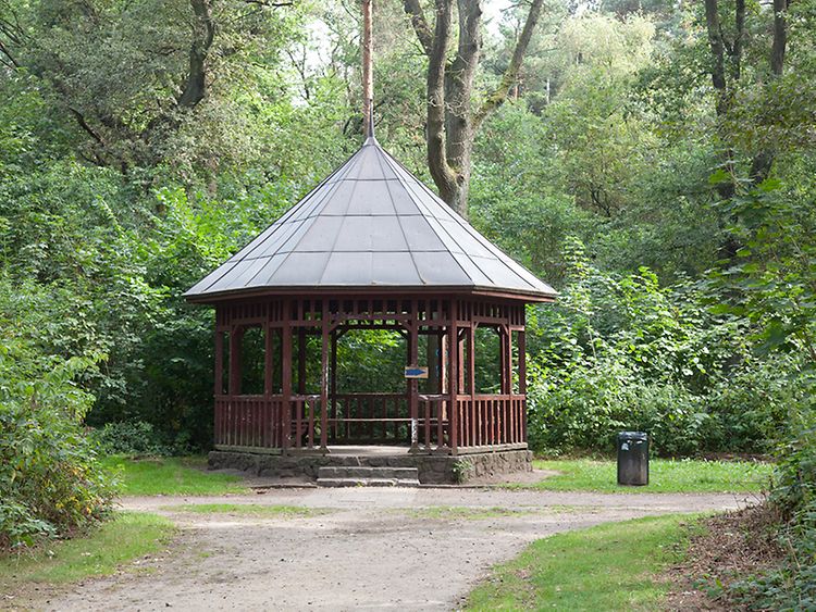  Schutzhütte im Wald
