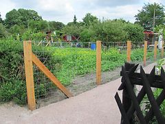  Neue Kleingartenparzellen im Kleingartenverein „Gartenfreunde Diebsteich-Bornkamp“