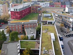 Grüne Dächer auf Gewerbebauten