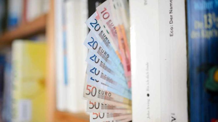  Euro-Scheine zwischen Büchern
