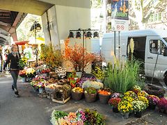  Ein Marktstand auf dem Isemarkt verkauft Blumen