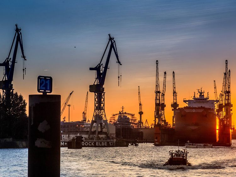  Die Kräne im Hamburger Hafen beim Sonnenuntergang