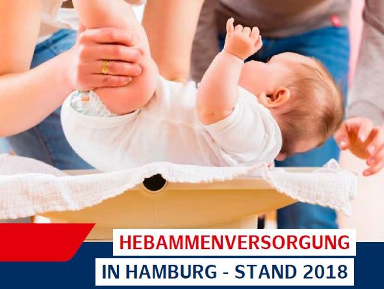  Titelbild der Broschüre "Hebammenversorgung in Hamburg"