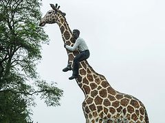  Skulptur eines Mannes, der sich am Hals einer Giraffe festhält