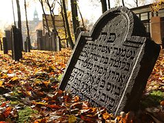  Grabstein im Herbstlaub auf dem Jüdischen Friedhof Altona
