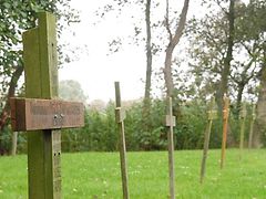  Holzkreuze auf dem Friedhof der Namenlosen auf Neuwerk