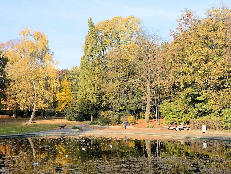  Künstlicher See im Jacobipark in Eilbek