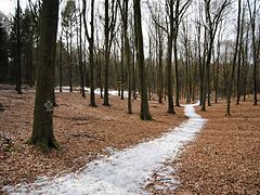  Ein verschneiter Weg im Waldbad Marienhöhe