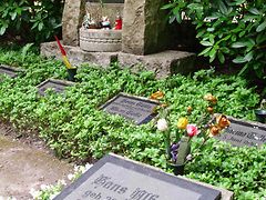  Grab von Hans Albers auf dem Friedhof Ohlsdorf