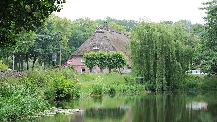  Reetdachhaus am Dorfteich von Marmstorf