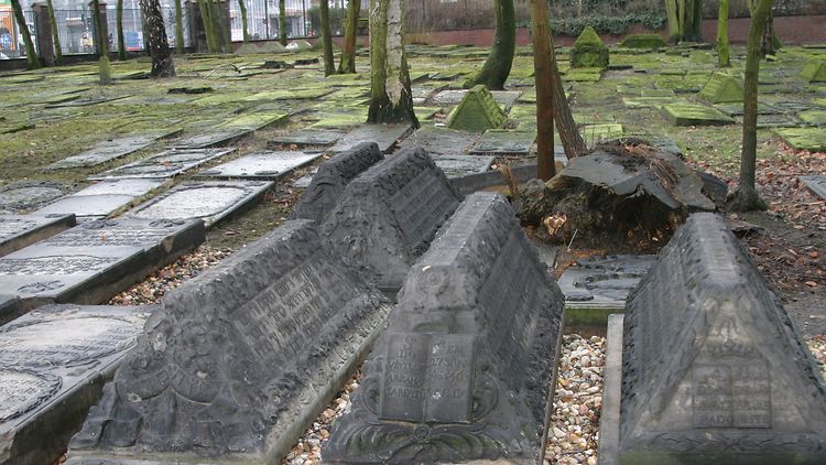  Sephardische Grabmäler auf dem Jüdischen Friedhof Hamburg-Altona