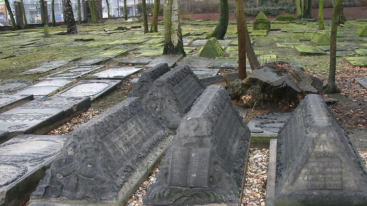  Sephardische Grabsteine auf dem Jüdischer Friedhof Hamburg-Altona