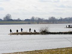  Angler an der Elbe