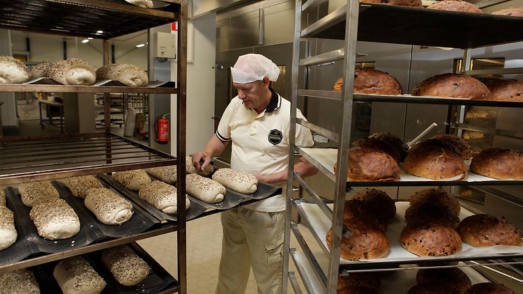  Bäcker bereitet Teig für Brot