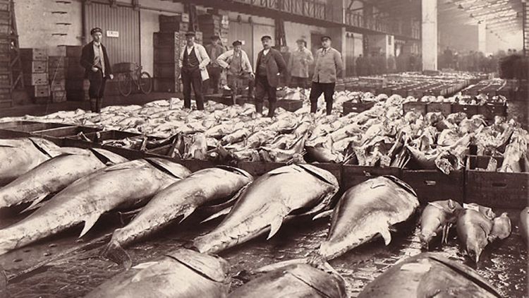 Fischer mit ihrer fangfrischen Ware in der Fischauktionshalle (Foto: Altonaer Museum)