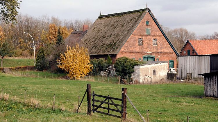  Bauernhof mit Strohdachhaus