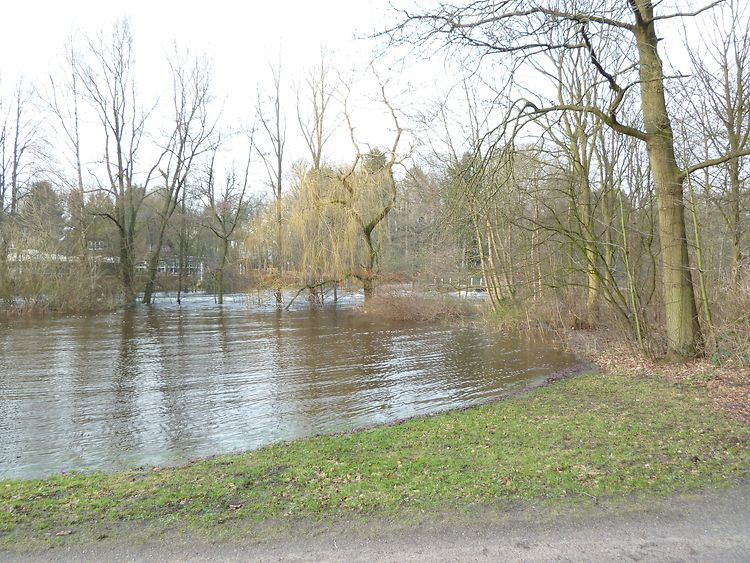  Hochwasser Februar 2011