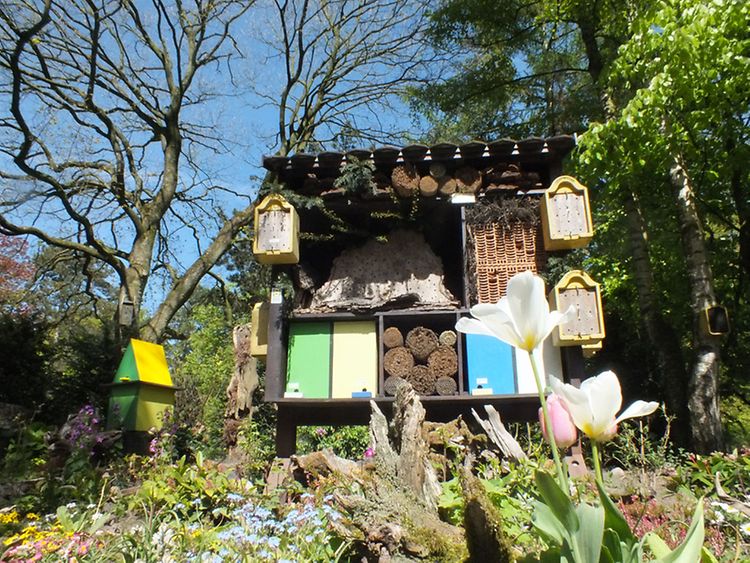  Der Wildbienen-Lehrpfad im Hagenbecks Tierpark. 