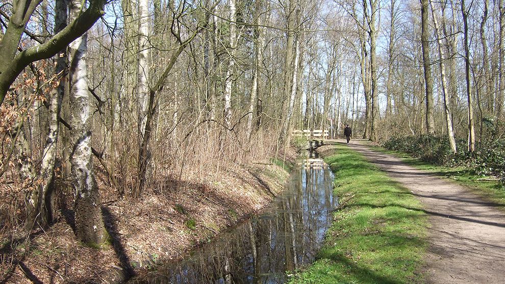  Eppendorfer Moor