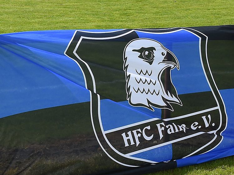  HFC Falke Fahne