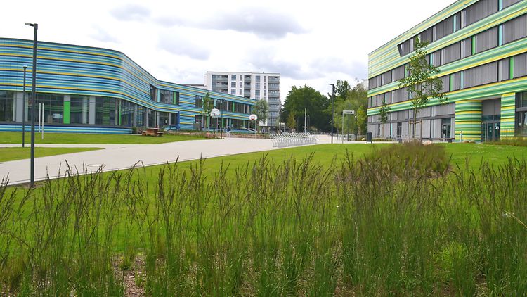  Gebäudekomplex des neuen Campus Steilshoop mit Zuwegung und Grünanlage